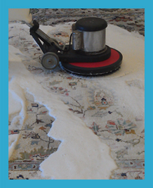 Carpets Stain Removal