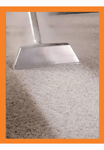 Carpet Steam Cleaning