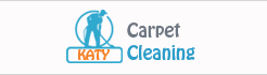 Home Carpet Cleaners