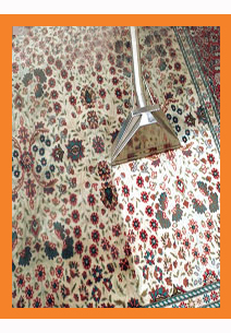 Carpet Steam Cleaning